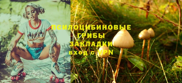 mdpv Белокуриха
