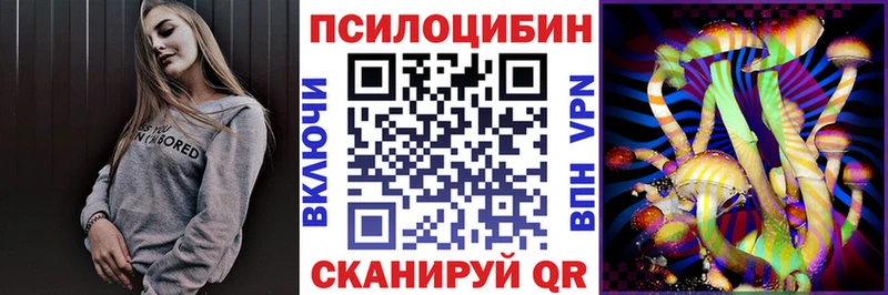 Псилоцибиновые грибы прущие грибы  Дно 
