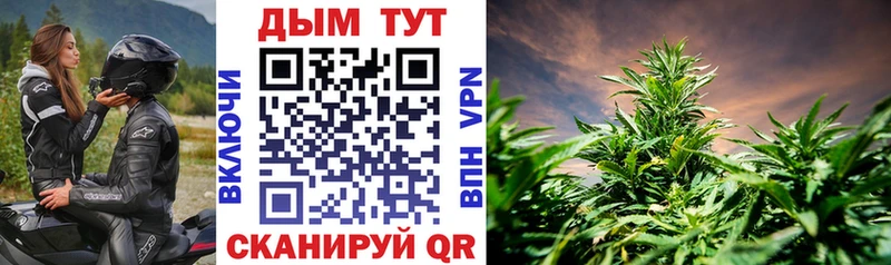 Конопля THC 21%  Дно 